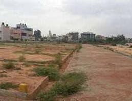 Plot / Site photo 2