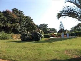 Plot / Site photo 3