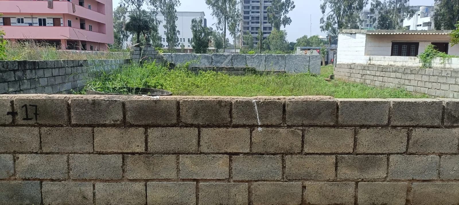 Plot / Site photo 2