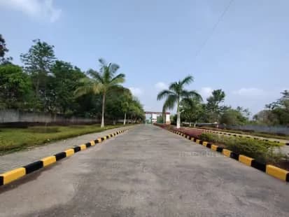 Plot / Site photo 2