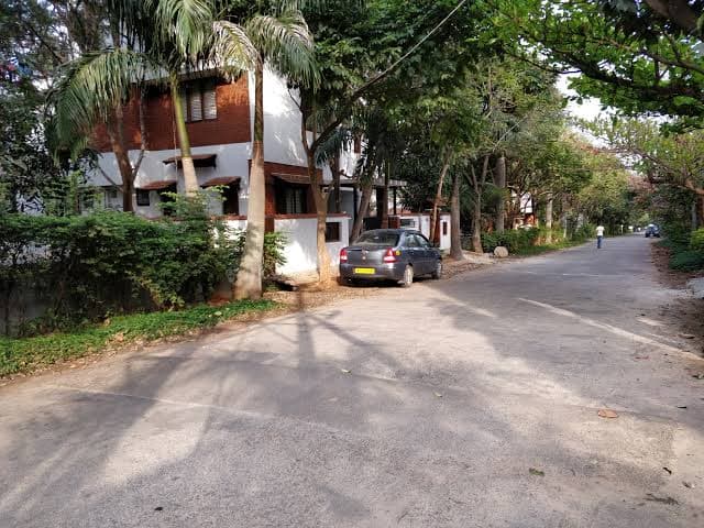 Plot / Site photo 2