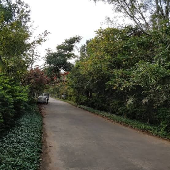 Plot / Site photo 3