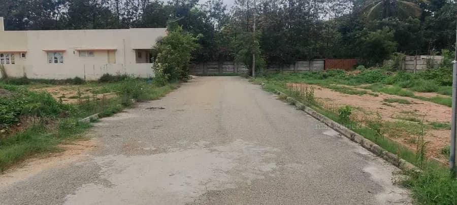 Plot / Site photo 3