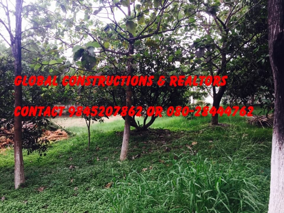 Plot / Site photo 3
