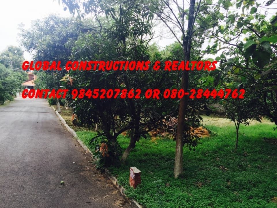 Plot / Site photo 4