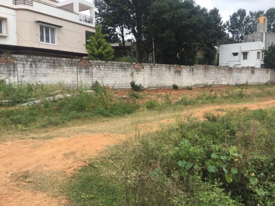 Plot / Site photo 2