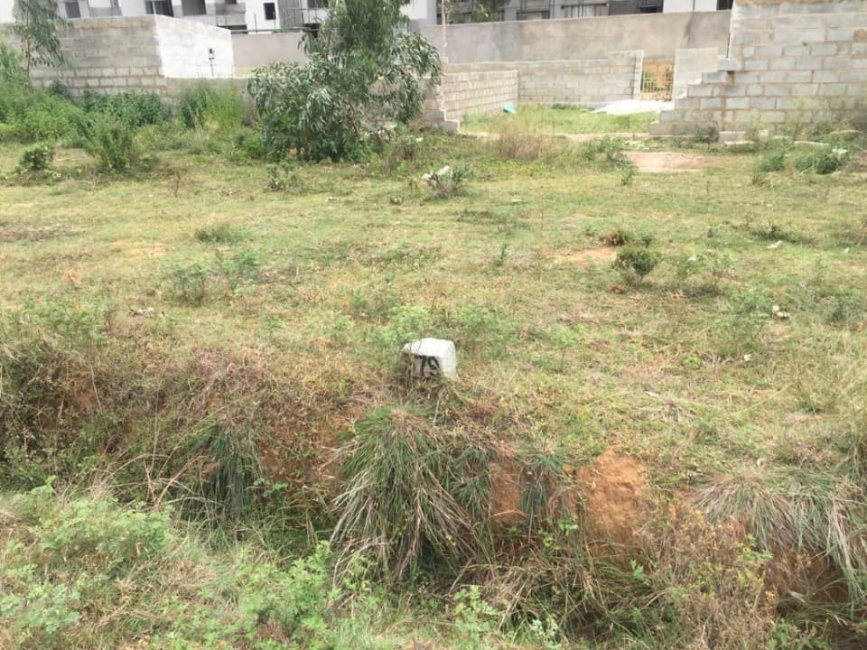 Plot / Site photo 4