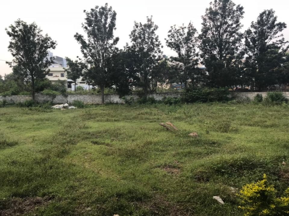 Plot / Site photo 3