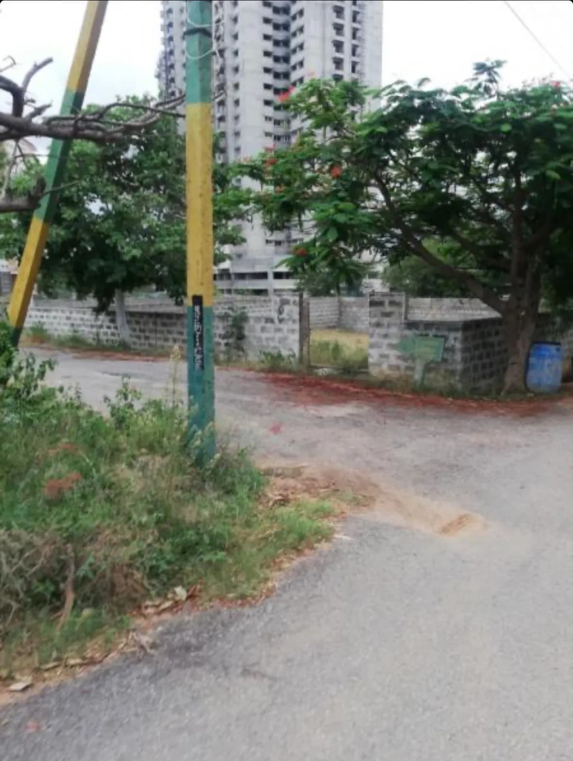 Plot / Site photo 3
