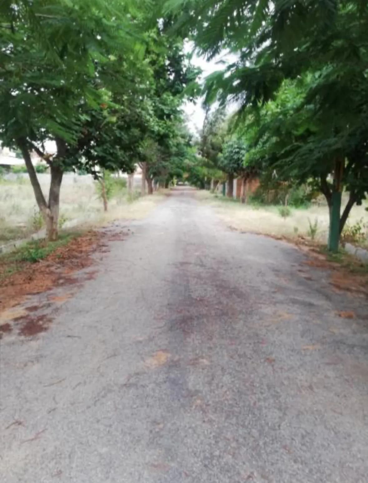 Plot / Site photo 4