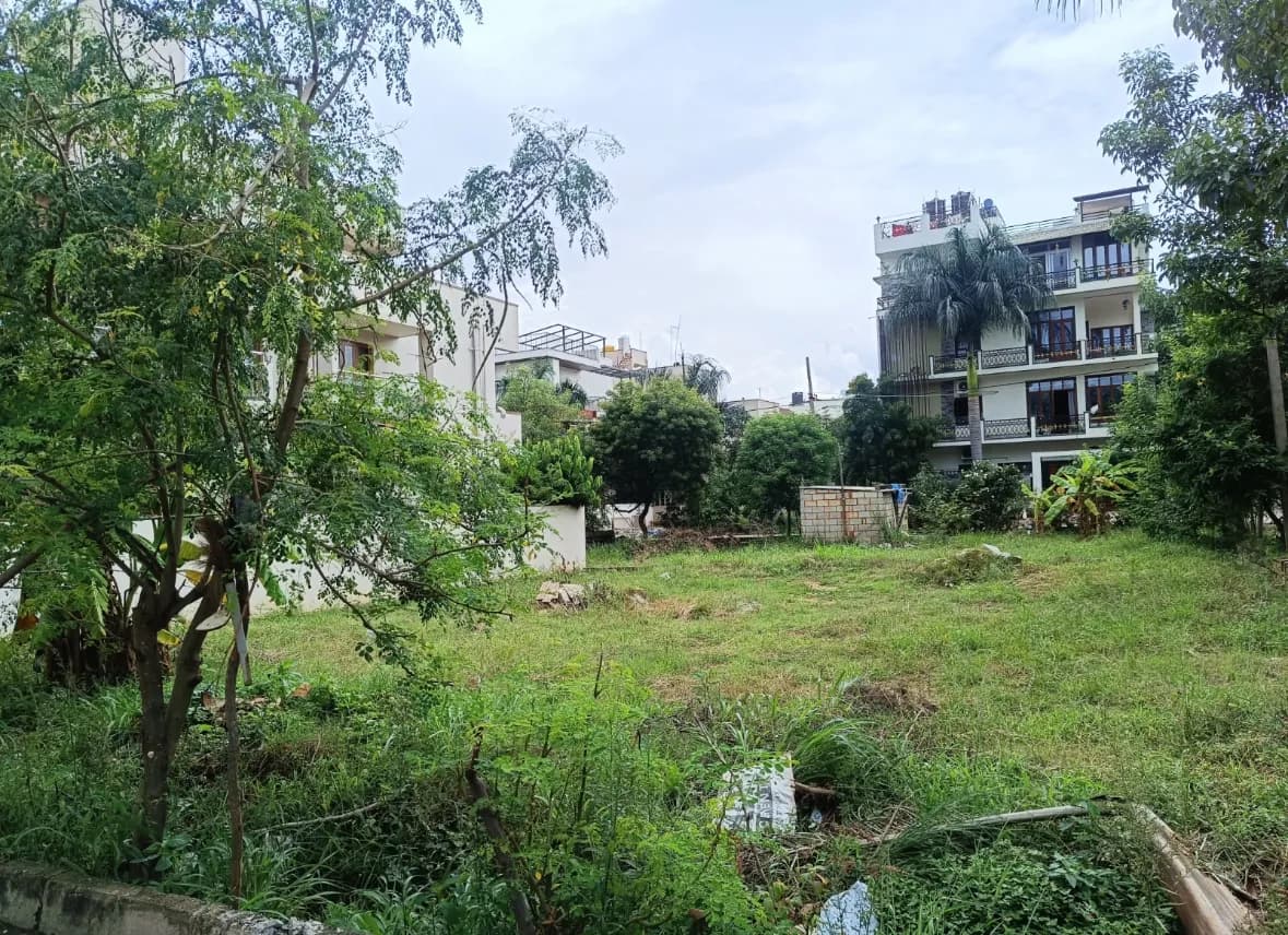 Plot / Site photo 3