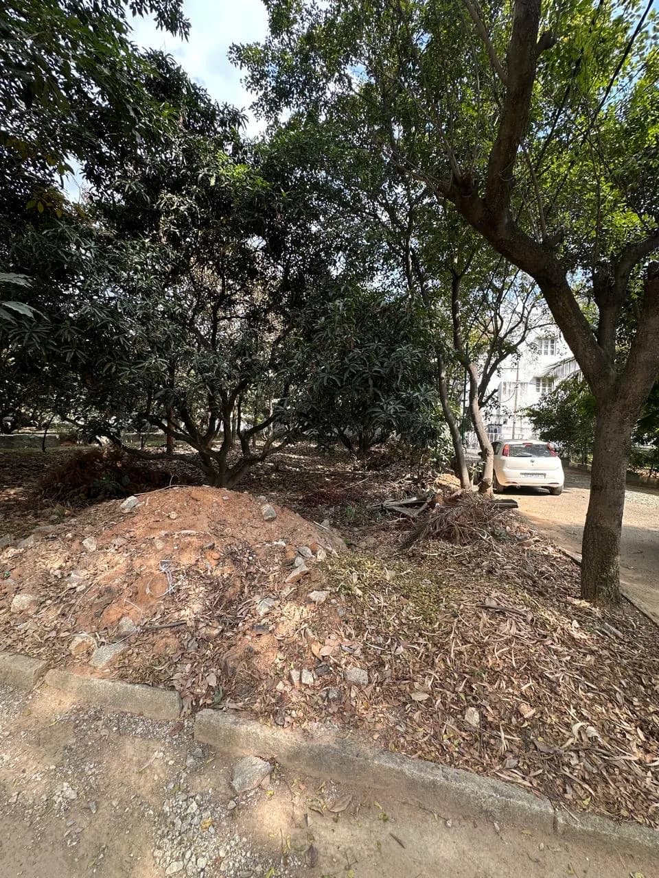 Plot / Site photo 3