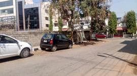 Plot / Site photo 2